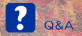 Q��A