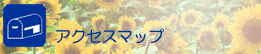 �A�N�Z�X