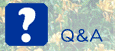 Q��A