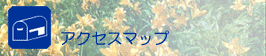 �A�N�Z�X